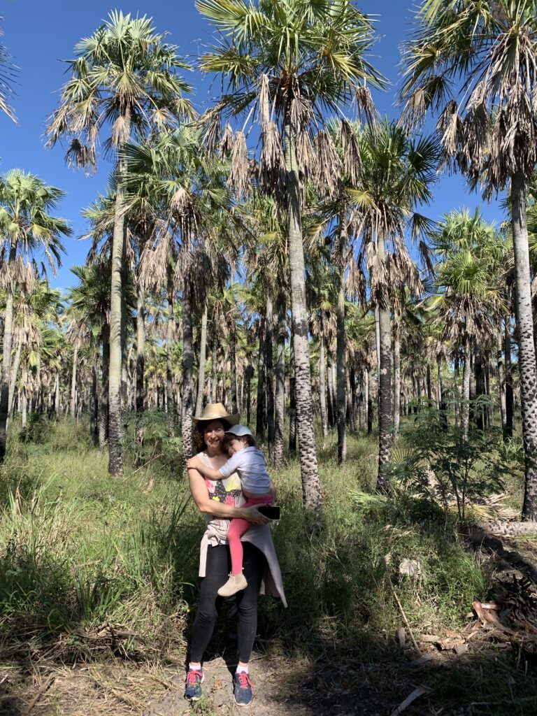 viajar a Paraguay